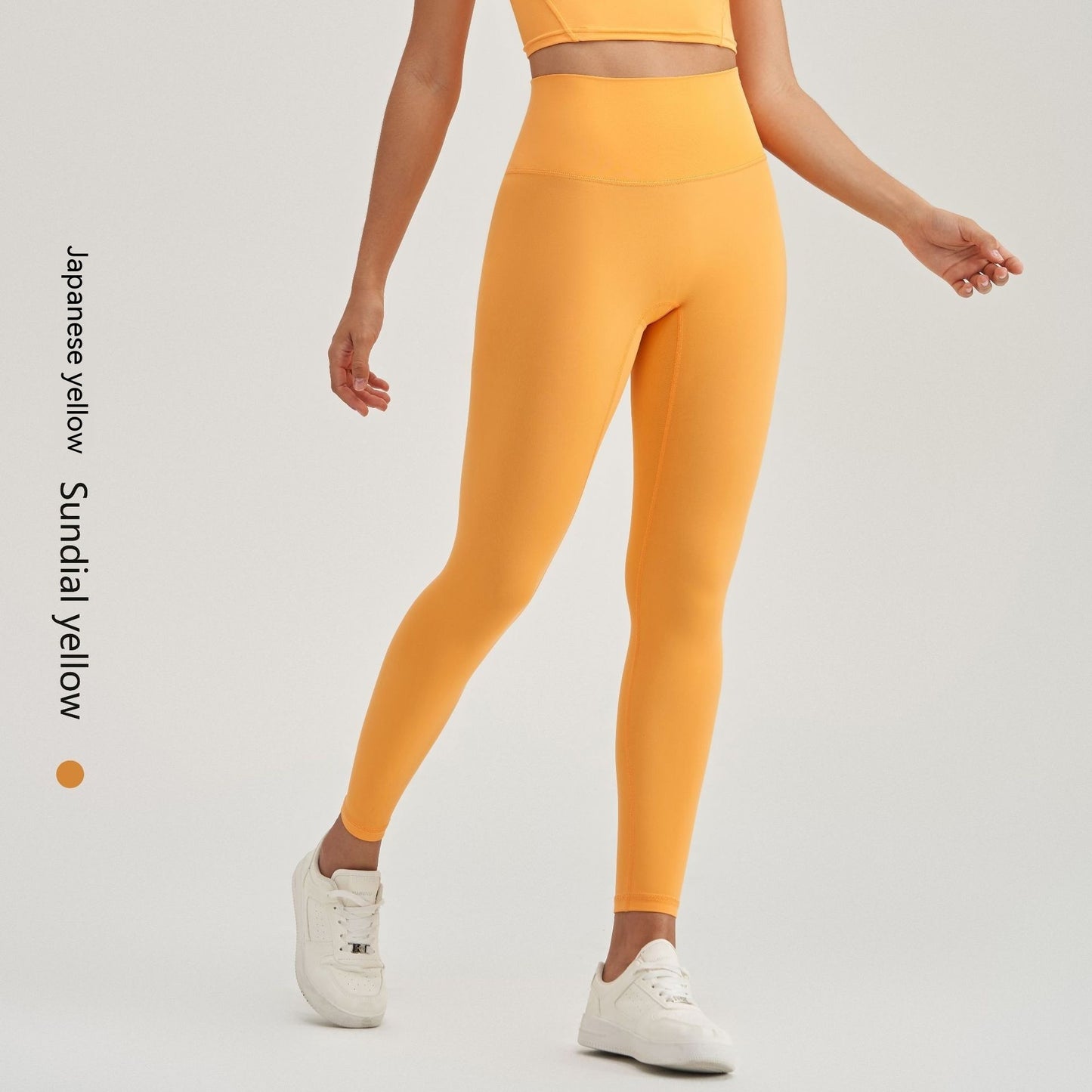 Pamela – Plus Size Fitness Leggings