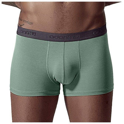 Gary – Comfortable Slim Boxer Briefs