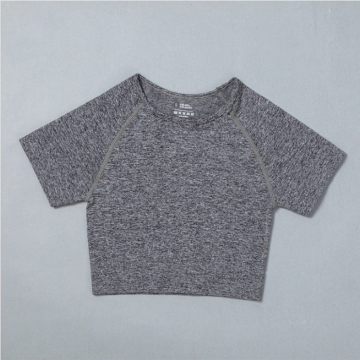 Tracy – Seamless Short-Sleeve Workout Top