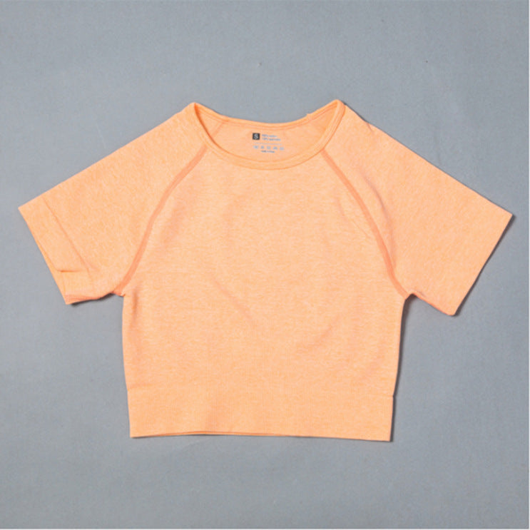 Tracy – Seamless Short-Sleeve Workout Top