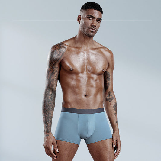 Guy – Breathable Mid-Waist Modal Underwear