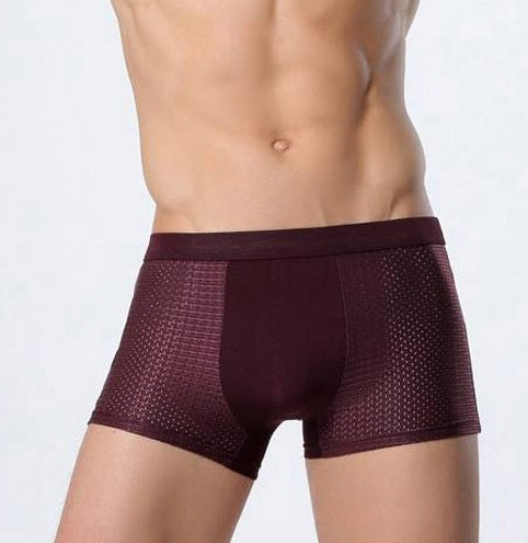 Bradley – Men's Mesh Boxer in Ice Silk