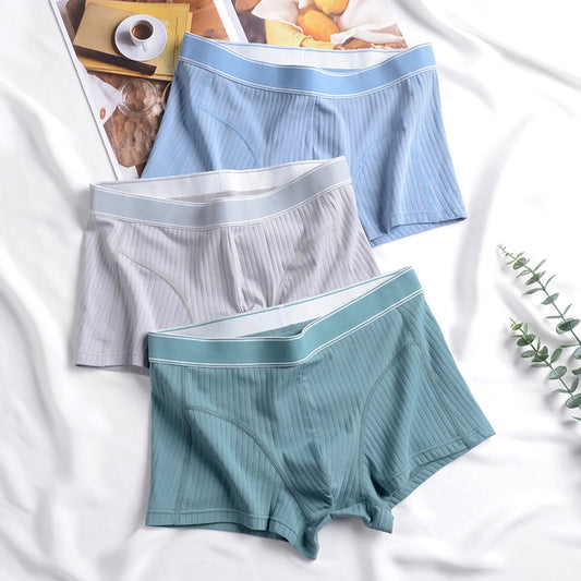 Ricky – Antibacterial Cotton Men's Underwear